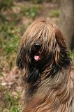 BRIARD 223